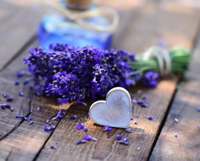 Gîte pour 2 personnes, avec vue et terrasse à Aubignan - 4