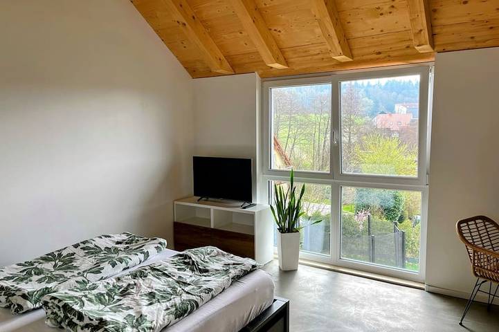 Ferienwohnung für 2 Personen, mit Terrasse in Geisenheim - 3