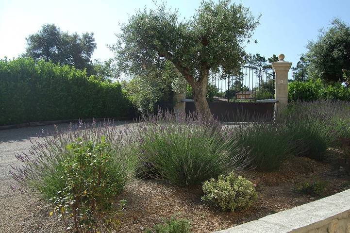 Appartement entier, Montauroux 30Mn De Cannes Appartement Climatise Terrasse Jardin Privatif Piscine in Montauroux, Côte méditerranéenne (France)