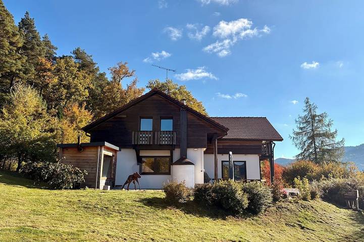 Chalet pour 14 personnes, avec jardin et sauna, animaux acceptés à Basse-sur-le-Rupt