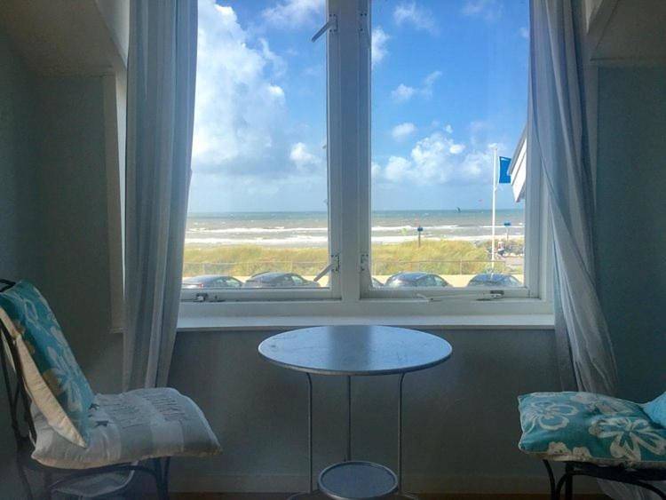 Pacific, spectacular seaview in Bergen aan Zee, Noord-Holland - Nordseeküste