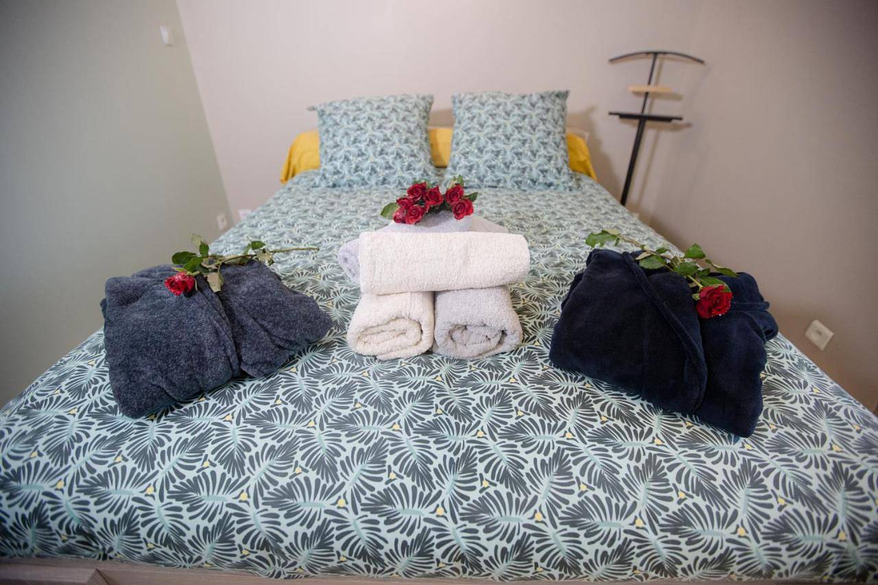 Appartement entier, Odyssee l'expérience commence ici Jacuzzi in Saint-Jean-Bonnefonds, Parc Naturel Régional du Pilat