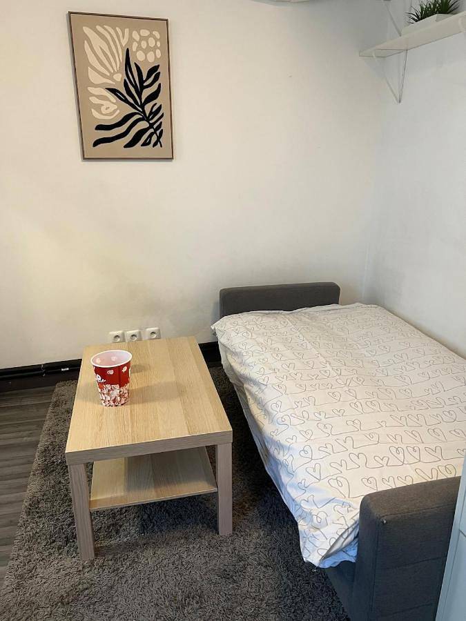 Gîte pour 2 personnes, avec vue à Le Perreux-sur-Marne - 4