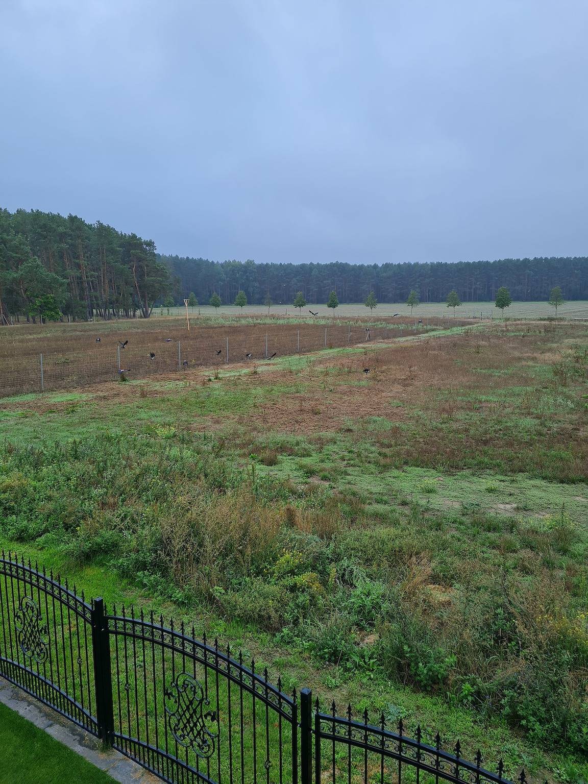 Apartamento vacacional entero, Apartamento de vacaciones para 4 personas con balcón in Müllrose, Schlaubetal