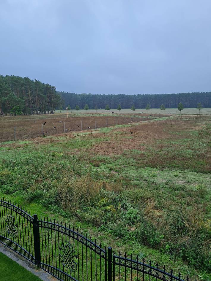 Ferienwohnung für 4 Personen, mit Balkon in Region Oder - Spree - 3