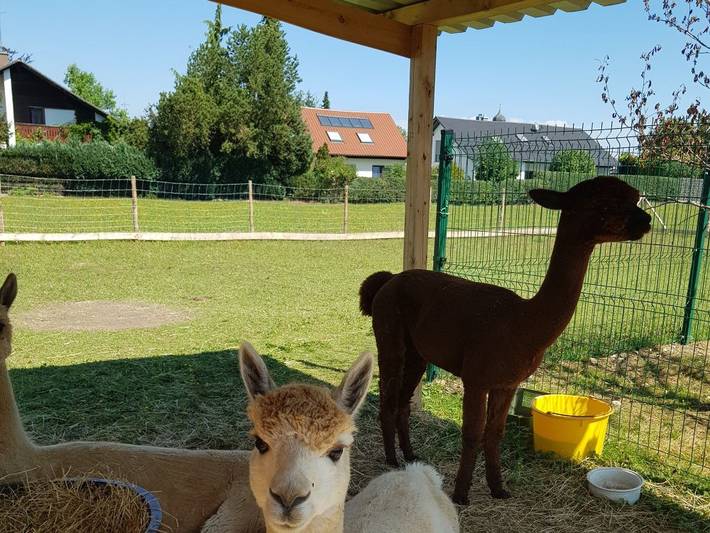 Ferienhaus für 2 Personen, mit Garten, kinderfreundlich in Deutschland - 4