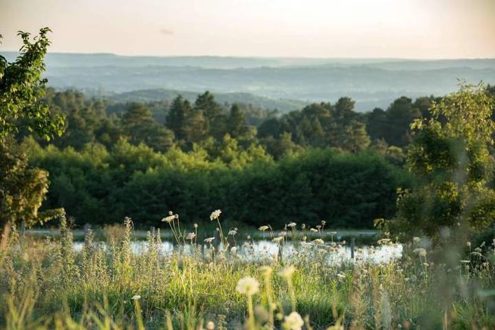 Parc de vacances pour 2 personnes, avec vue ainsi que piscine et jardin, animaux acceptés à Sainte-Féréole - 4
