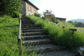 Casa Vacanza per 14 Persone in Lugagnano Val D'Arda, Provincia di Piacenza, Foto 4