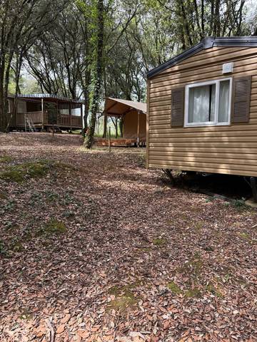 Mobil home pour 5 personnes, avec terrasse et piscine à Calviac-en-Périgord