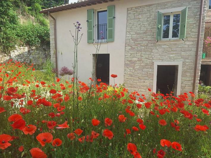 Appartamento per 2 persone, con Idromassaggio e Terrazza nonché Giardino e Piscina per bambini a Fossombrone