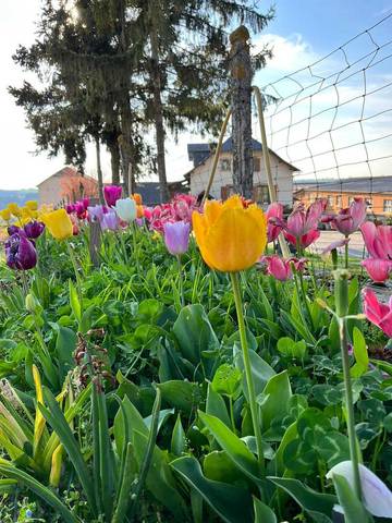 Gîte pour 12 Personnes dans Assac, Massif central, Photo 4