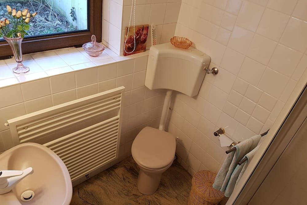 Ganze Wohnung, Ferienwohnung für Kunstliebhaber in Pobershau \n\"Picasso mit Wintergarten\" in Pobershau, Marienberg