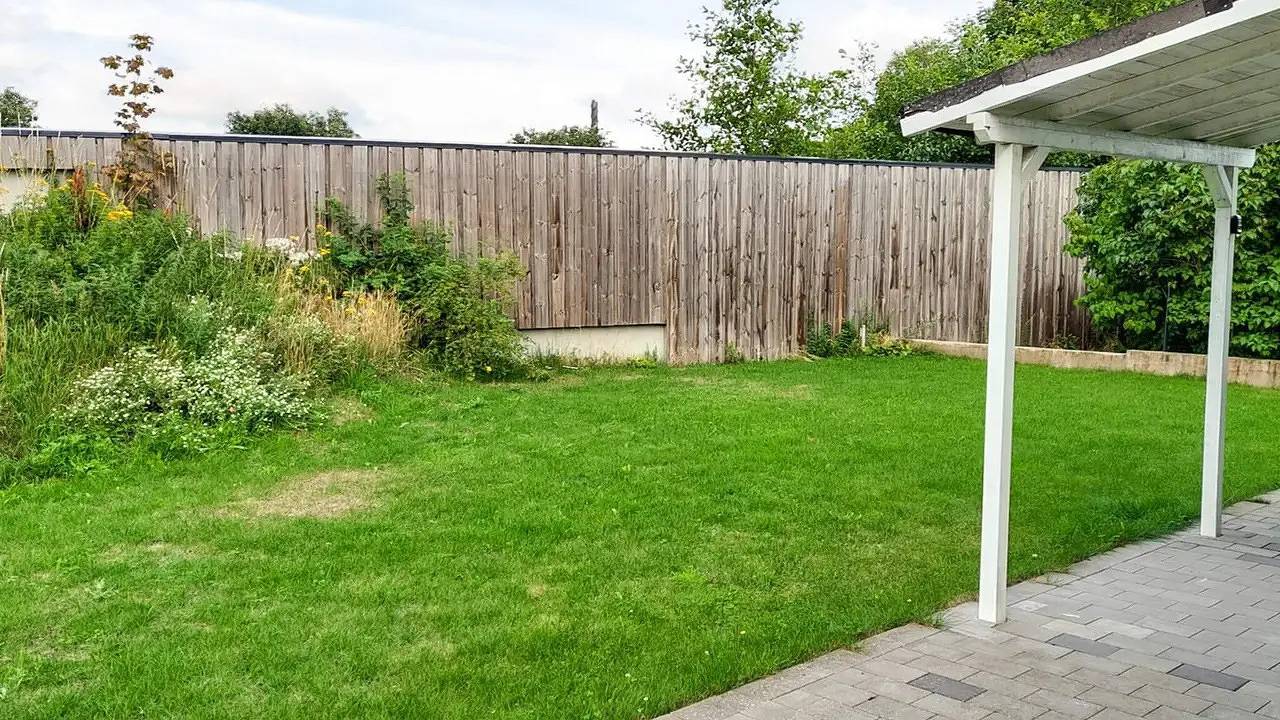Ferienhaus für 4 Personen (25 m²) in Falkenberg in Falkenbergs und Umgebung