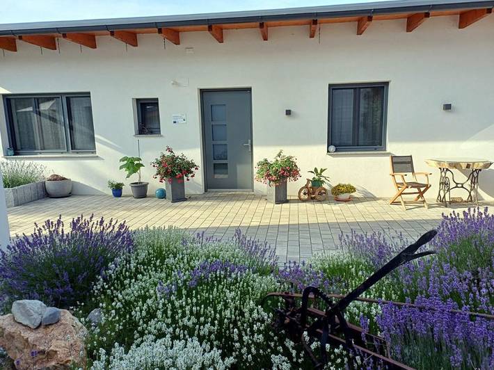 Pensione per 1 persona con terrazza in Prutzendorf, Weinviertel