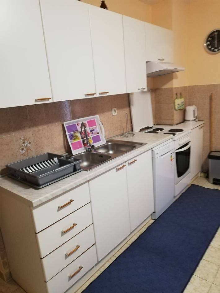 Ganze Wohnung, Apartment Pavin in Plaža Poljana, Poljana