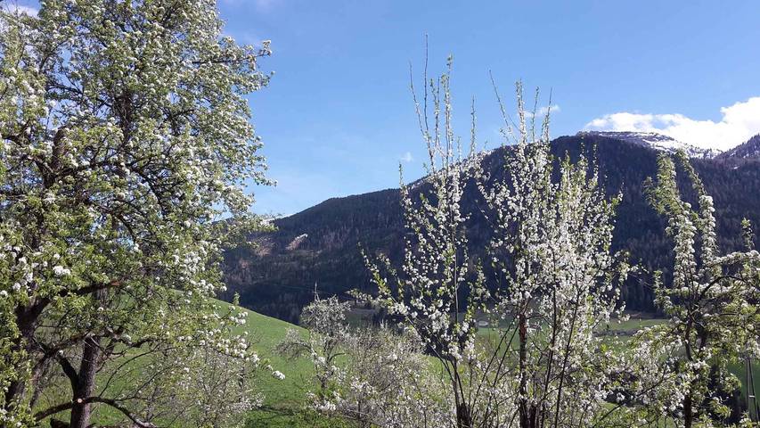 Ganze Ferienwohnung, Ferienwohnung am Bauernhof im Skigebiet in Gerlosberg, Bezirk Schwaz