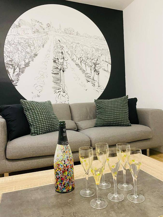 Location de vacances pour 6 personnes, avec terrasse et jardin, animaux acceptés à Avize - 2