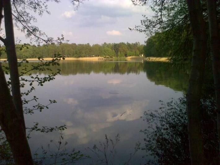 Ferienhaus für 5 Personen, mit Terrasse und Garten in Europa - 3