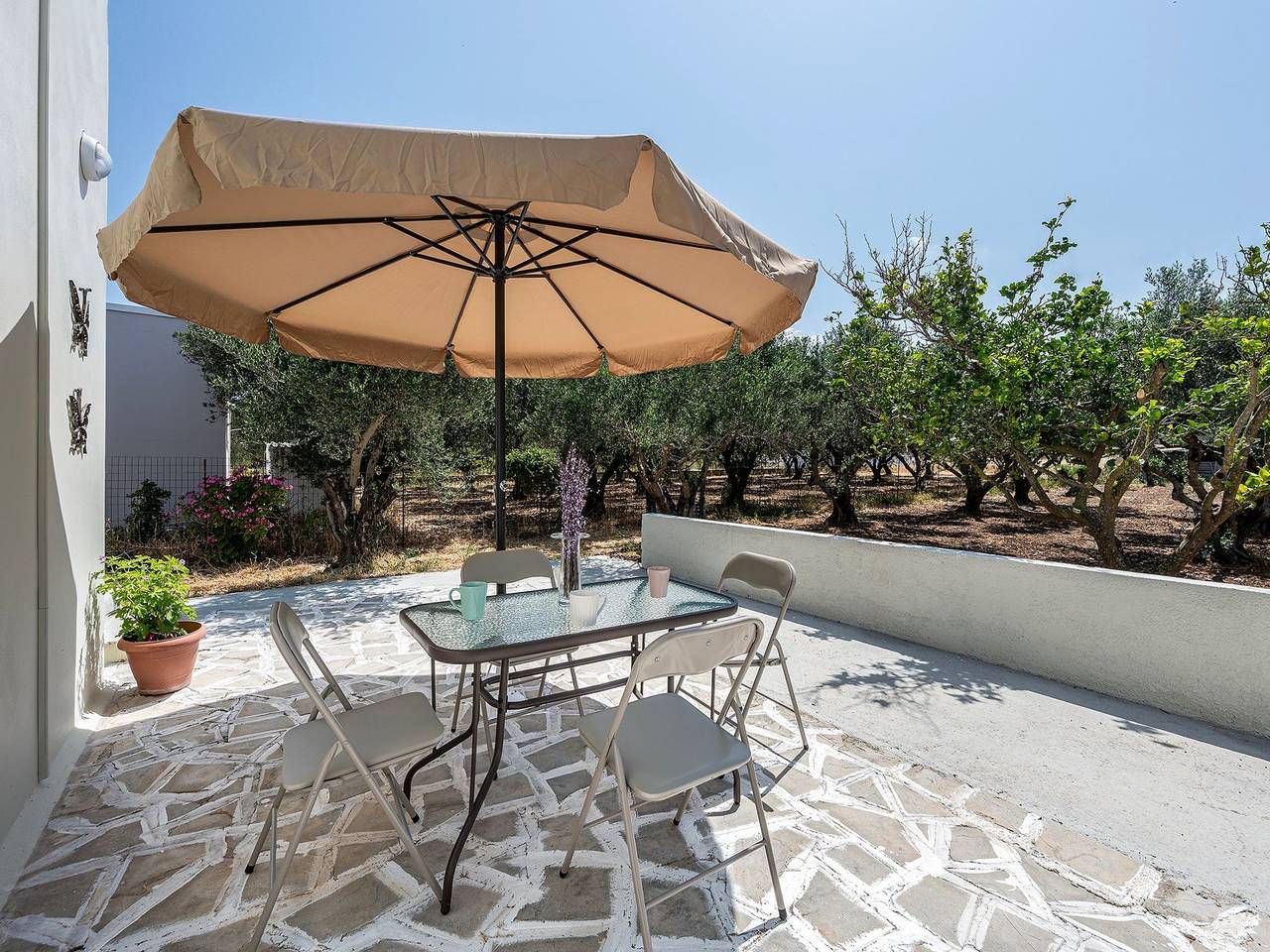 In einem Olivenhain in Strandnähe in Linopotis, Kos