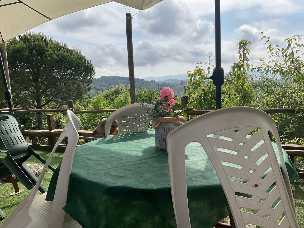 Ganze Ferienwohnung, Tiny Home 'Glamping - La Quercia' mit Garten in Monteverdi Marittimo, Etruskische Küste