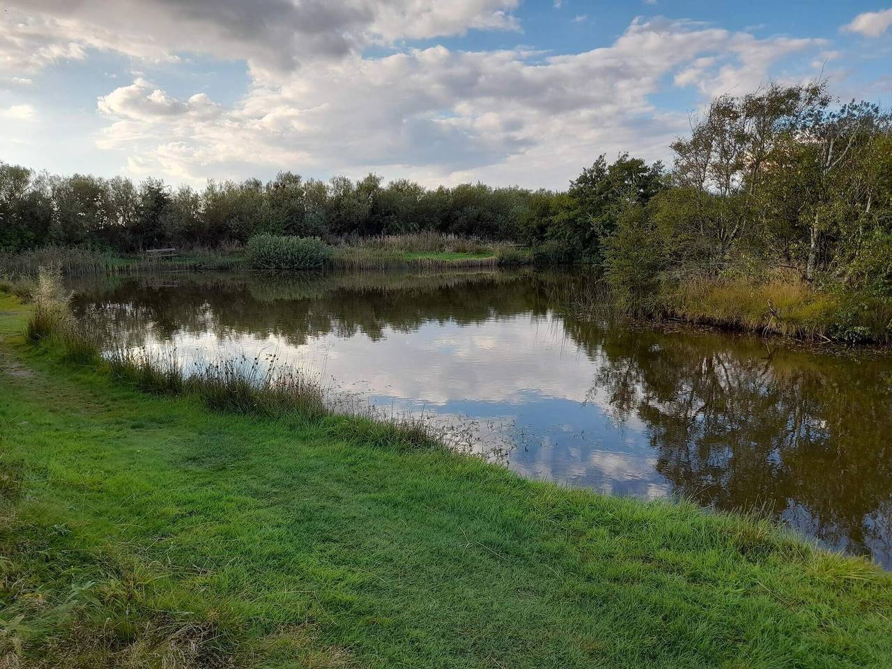 5 Personen Ferienhaus in Skjern in Skjern, Ringkøbing Fjord