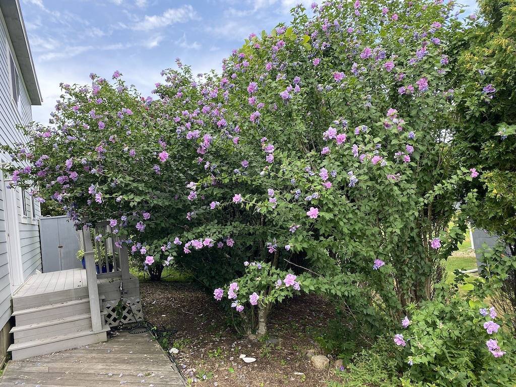 Spacious Home - Walk To Ocean Beach- South Of Montauk Highway in Napeague, North Fork