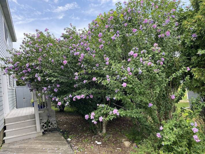 Ferienhaus für 12 Personen, mit Terrasse - 1