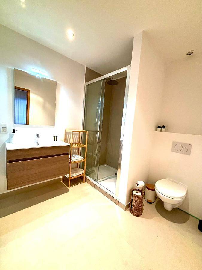 Gîte pour 4 personnes, animaux acceptés à Herstal - 3