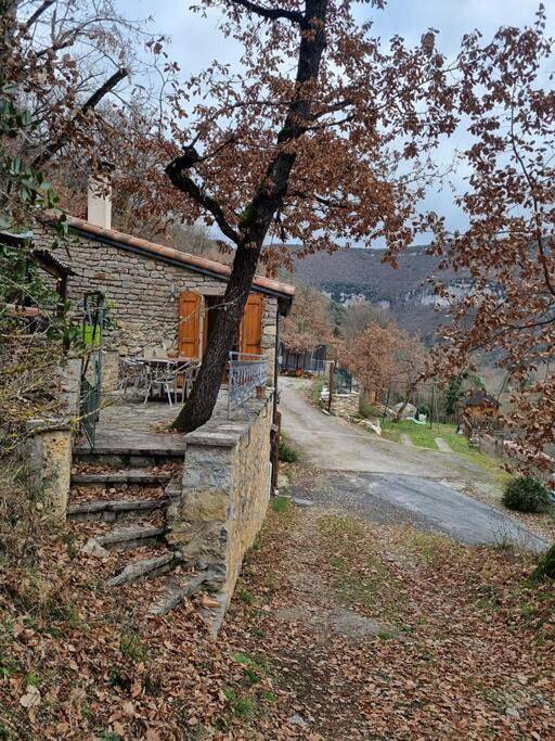 Villa pour 9 personnes, avec vue et jardin, animaux acceptés dans l' Aveyron - 3