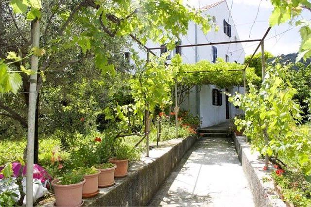 Ganze Wohnung, Apartment Renata in Veli Losinj, Lošinj (Kvarner Bucht)