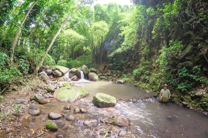 Gîte pour 2 personnes, avec vue ainsi que bassin pour enfant et jardin en Martinique - 2