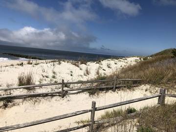 Vacation House for 8 Guests in Cape May Point, Jersey Shore, Picture 4