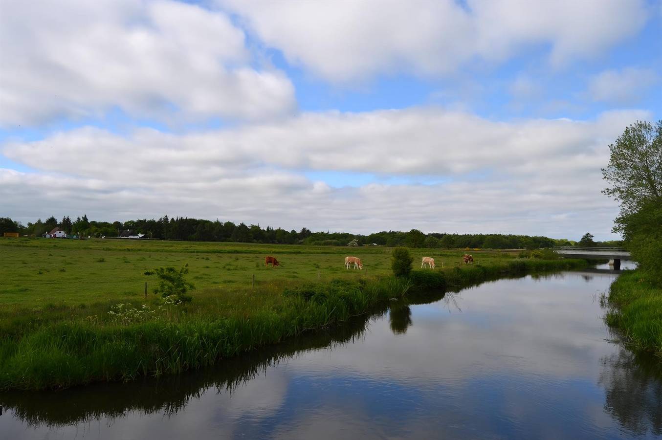 Nice home in Esbjerg w/ Wifi and 2 Bedrooms in Gredstedbro, Northsea Coast Denmark