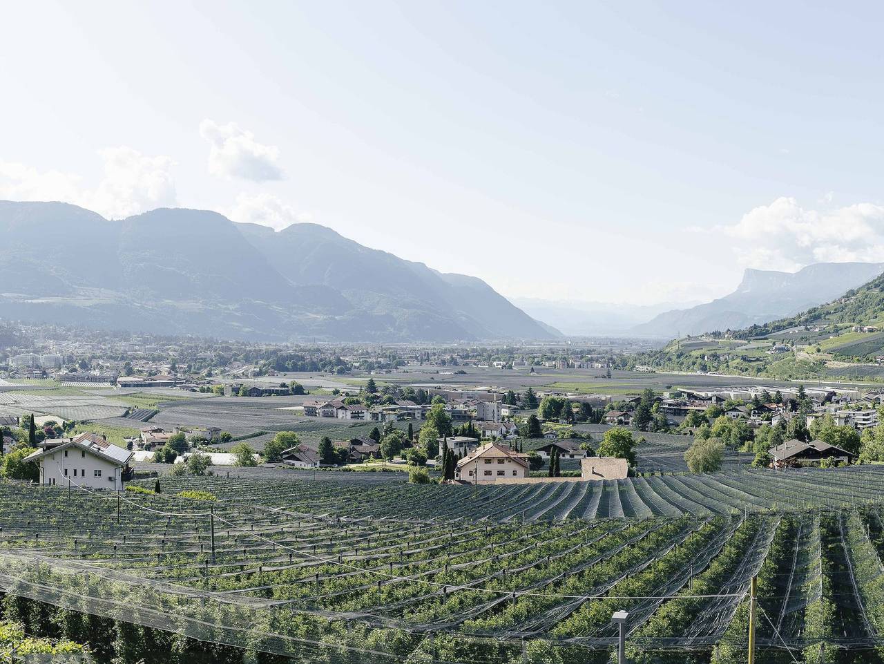 Ganze Ferienwohnung, Bauernhof Hofer am Bach - Ferienwohnung Vinschgau in Algund, Texelgruppe