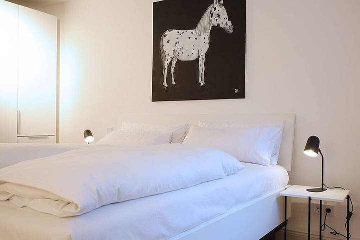 Appartement entier, Unique apartment W11.1 with roof terrace in Regensburg, Bavière Orientale