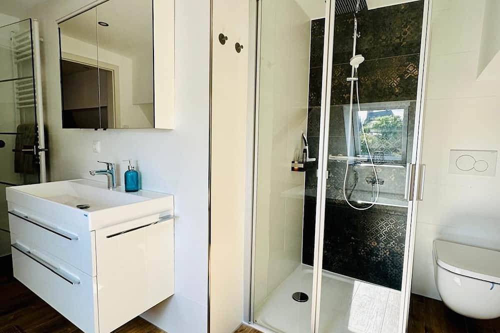 Ganze Wohnung, Großzügiges Dachstudio „Silberberg“ neu mit Klimagerät, im Herzen von Schneeberg in Schneeberg, Erzgebirge