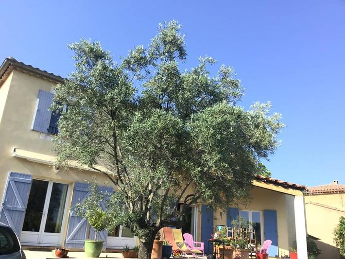 Location de vacances pour 6 personnes, avec terrasse et piscine ainsi que vue et jardin, animaux acceptés dans Le Rayon Vert - 4