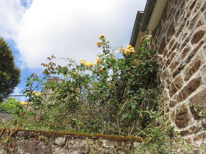 Location de vacances pour 3 personnes, avec terrasse et jardin à Pleudihen-sur-Rance - 4