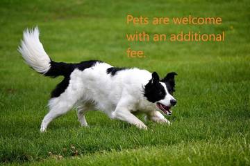 Lake House for 5 Guests in Utah, USA, Picture 1