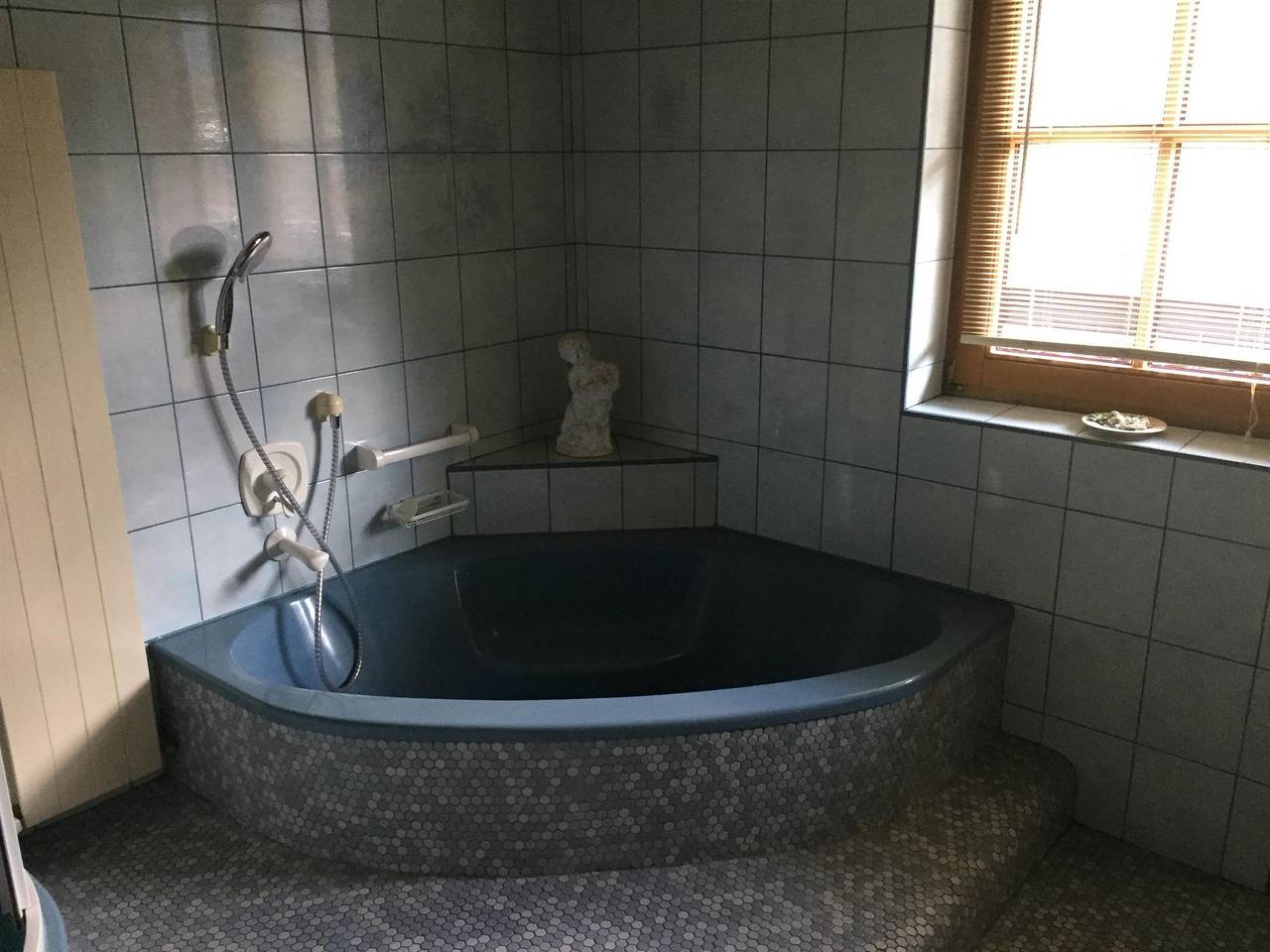 Ganze Ferienwohnung, Apartment/1 Schlafraum/Bad, Wc in Finkenberg, Tiroler Unterland