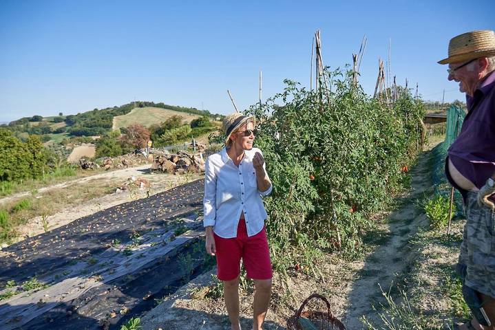 Location de vacances pour 2 personnes, avec terrasse et vue à Cartoceto - 3