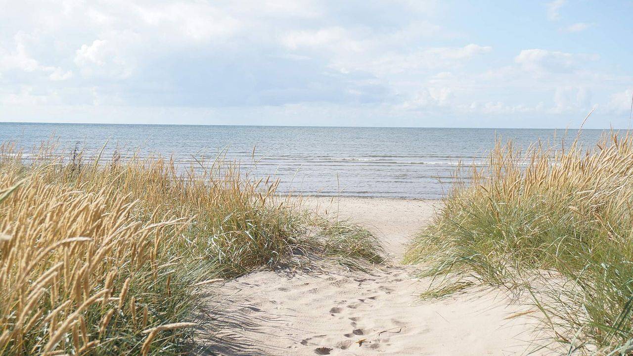 Ferienhaus für 5 Personen (80 m²) in Falkenberg in Falkenbergs und Umgebung
