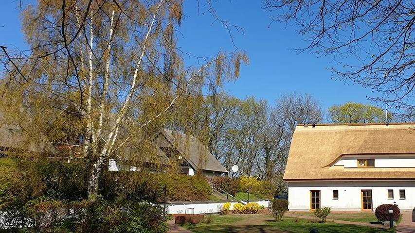 Ferienhaus für 4 Personen, mit Terrasse in Middelhagen - 2