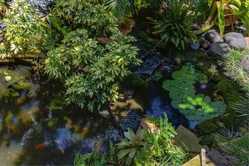 Beach Rental for 4 Guests in Wailea, Maui, Picture 1