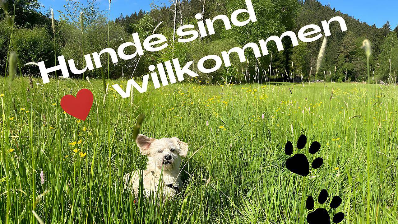 Ganze Ferienwohnung, Ferienwohnung für 2 Personen (40 m²) in Enzklösterle in Enzklösterle, Nordschwarzwald