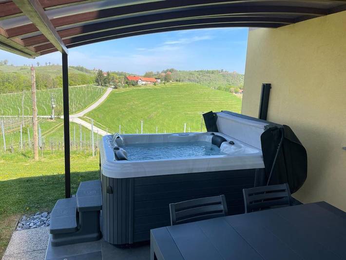 Location de vacances pour 5 personnes, avec sauna ainsi que jacuzzi et jardin dans Ormož - 3