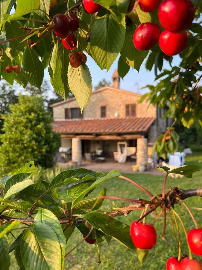 Appartamento intero, Agriturismo Monte Gusciani in Massa Marittima, Provincia di Grosseto