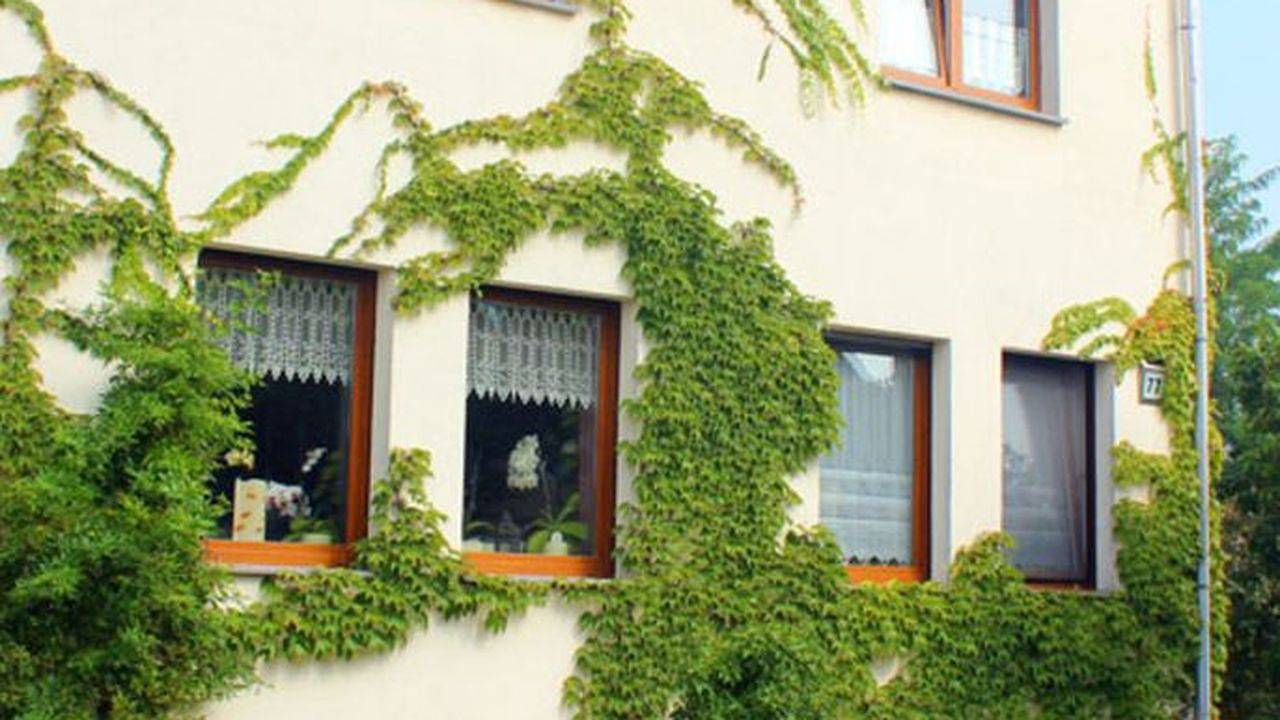 Einzelzimmer für 1 Person (12 m²) in Lutherstadt Wittenberg in Wittemberg, Fläming