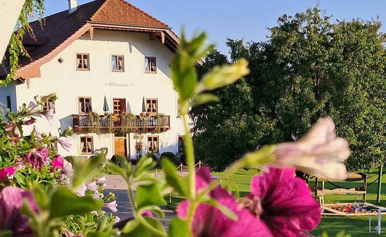 Chalet für 5 Personen, mit Garten in Inzell - 3