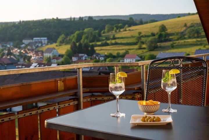 Ganze Wohnung, Ferienwohnung 'Wälderliebe' mit Bergblick, Gemeinschaftsgarten und Wi-Fi in Lenzkirch Ort, Lenzkirch